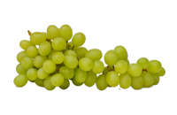Grape